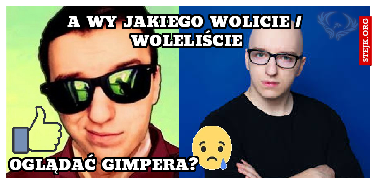 a wy jakiego wolicie / woleliście