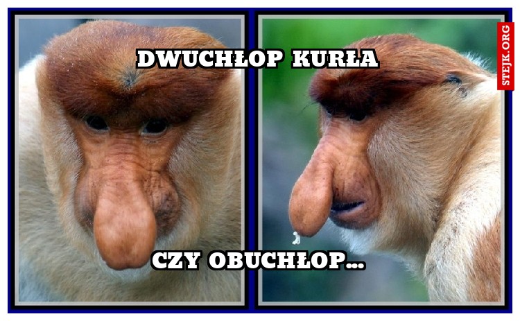 Dwuchłop kurła