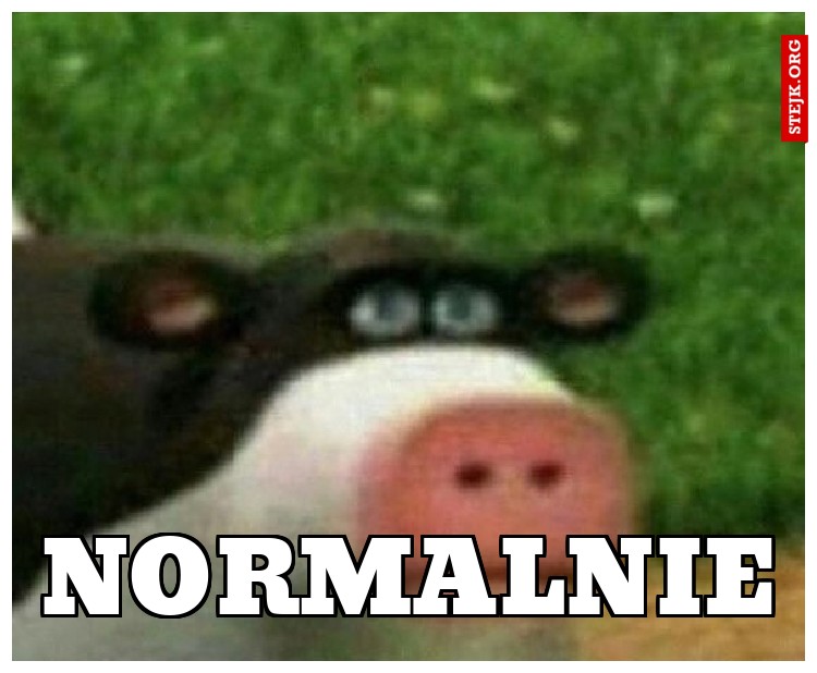 NORMALNIE