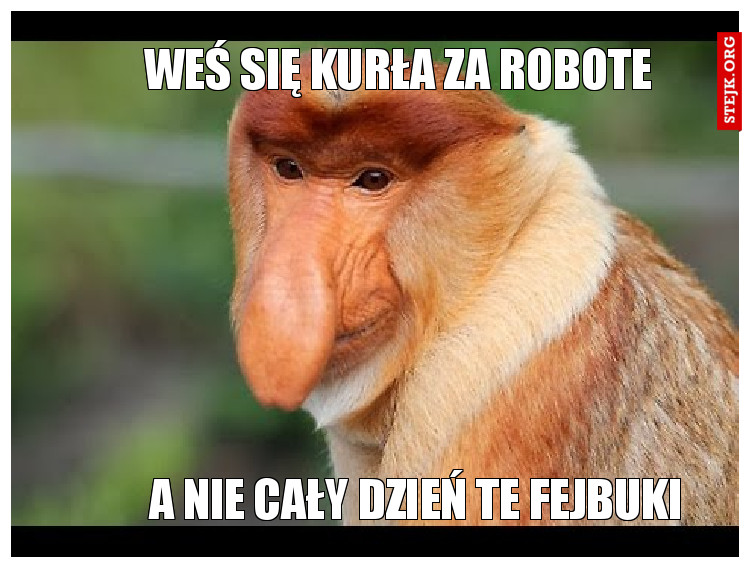 WEŚ SIĘ KURŁA ZA ROBOTE 