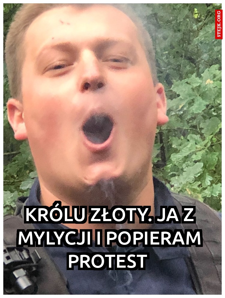 O KURŁA mój passat