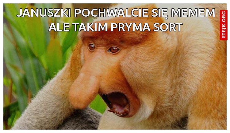 Januszki pochwalcie się memem ale takim PRYMA SORT