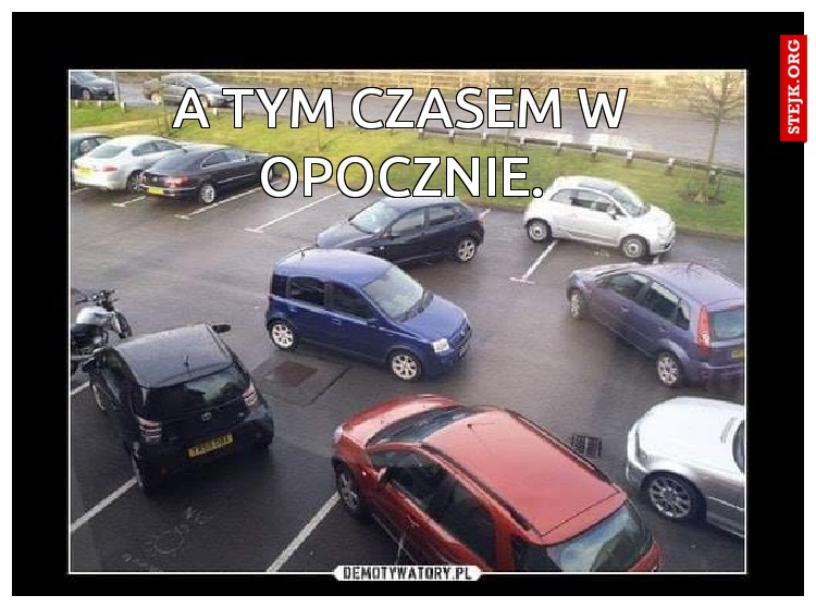 A tym czasem w opocznie.