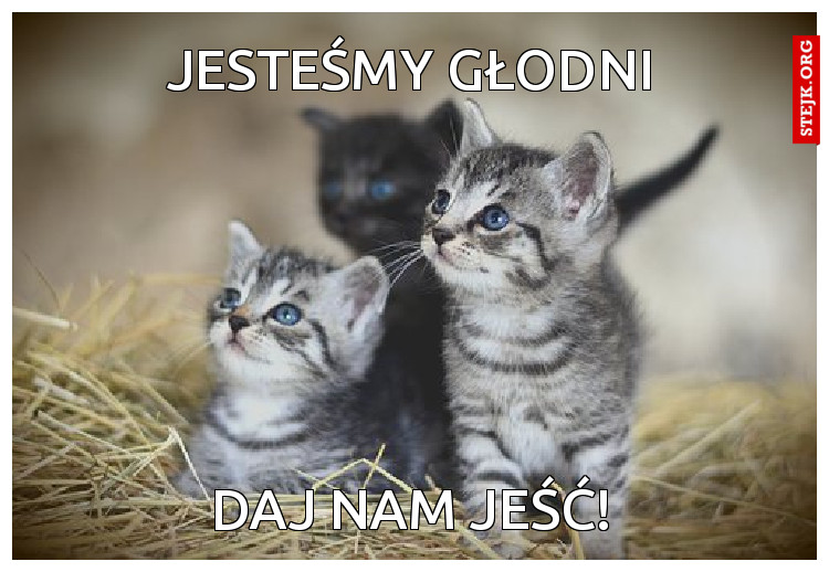jesteśmy głodni