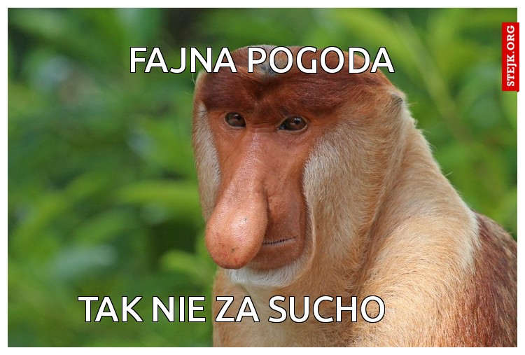 Fajna pogoda