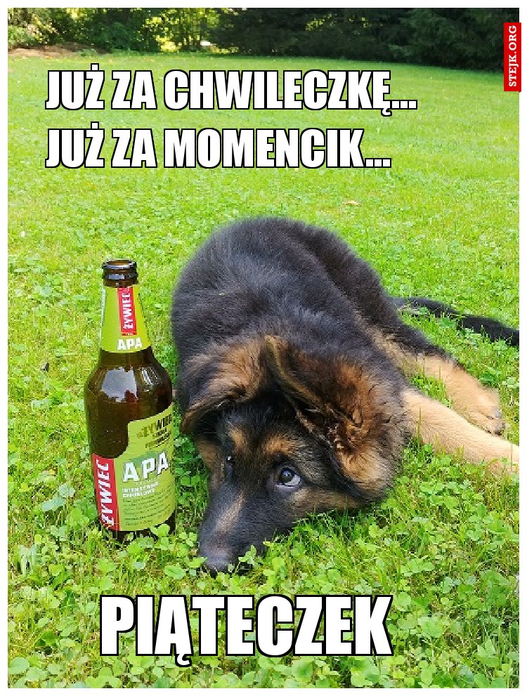 JUŻ ZA CHWILECZKĘ...        JUŻ ZA MOMENCIK...