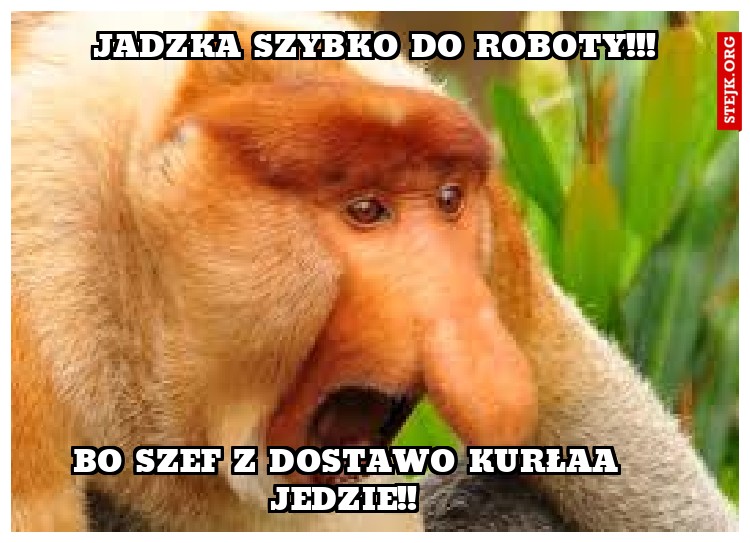 Jadzka szybko do roboty!!! 