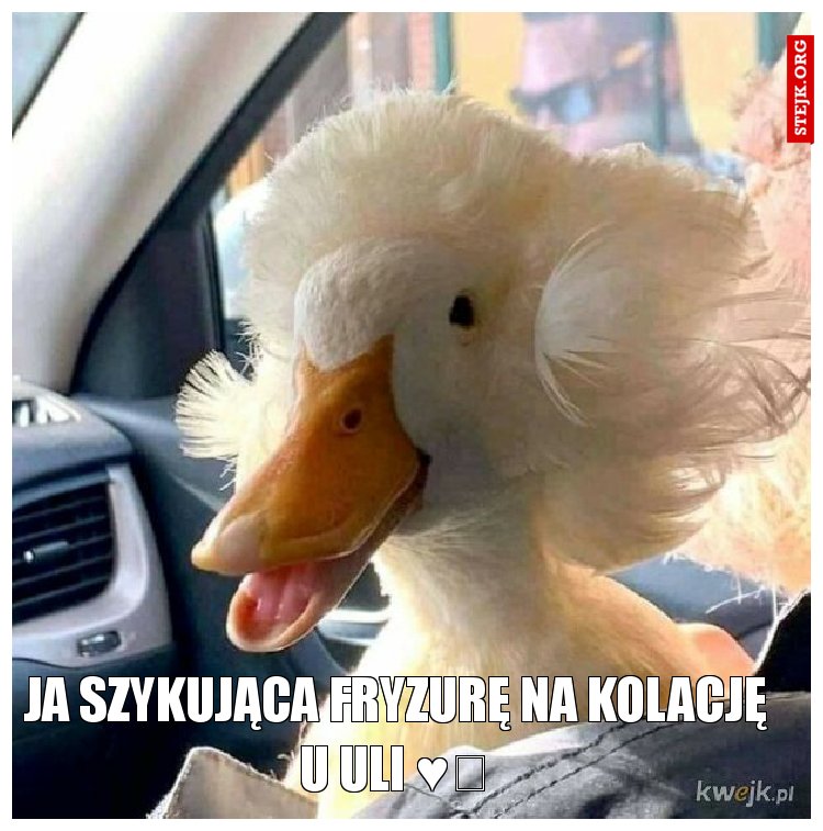 Ja szykująca fryzurę na kolację u Uli ♥️