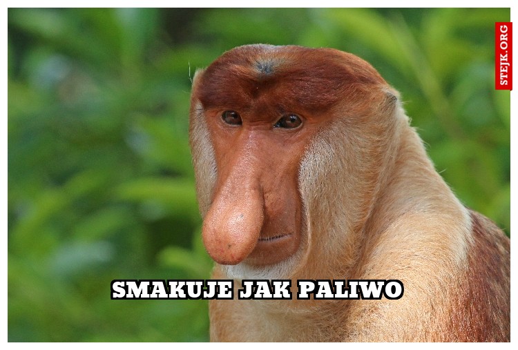 Smakuje jak paliwo