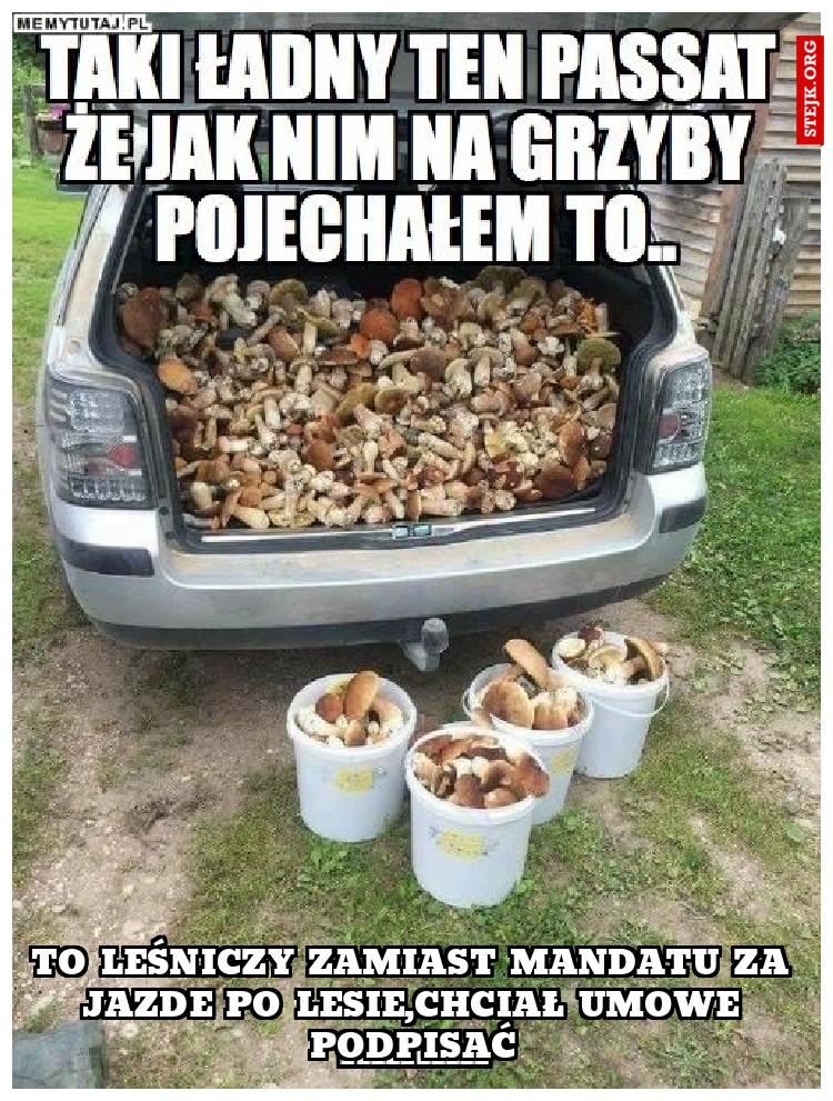 To leśniczy zamiast mandatu za jazde po lesie,chciał umowe podpisać