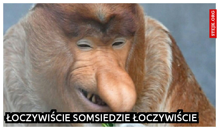 Łoczywiście somsiedzie łoczywiście