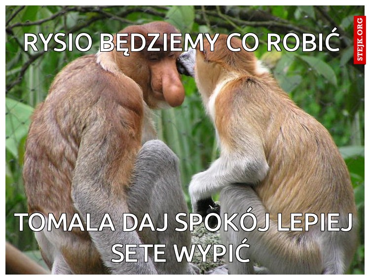 Rysio będziemy co robić 