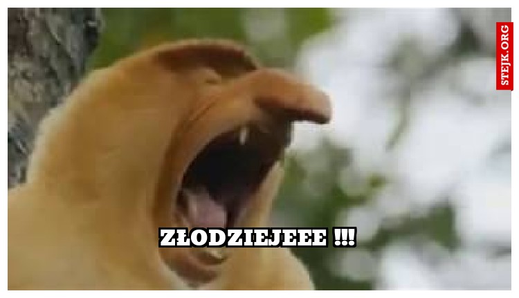 Złodziejeee !!!