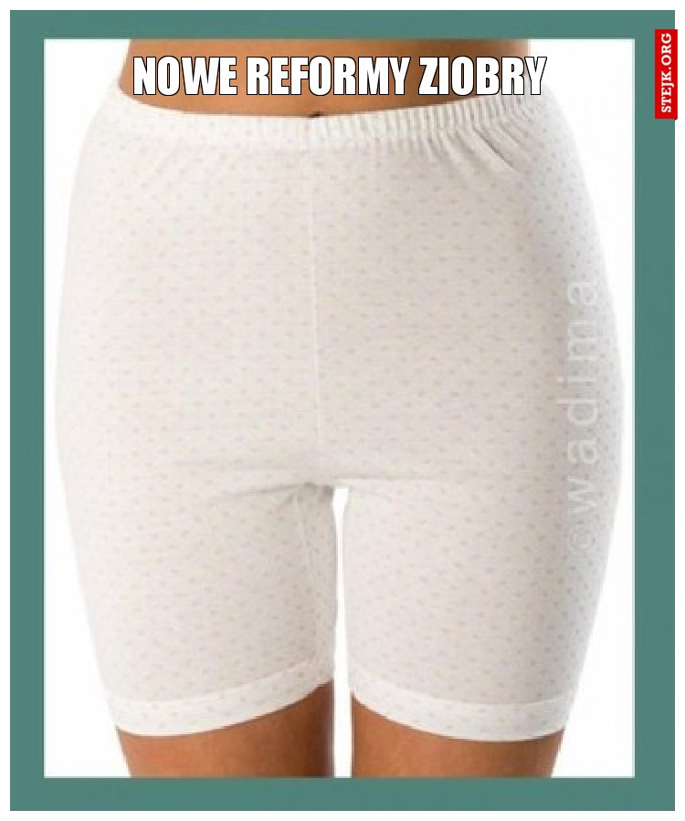 NOWE REFORMY ZIOBRY