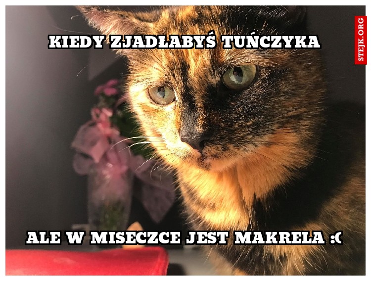 kiedy zjadłabyś tuńczyka