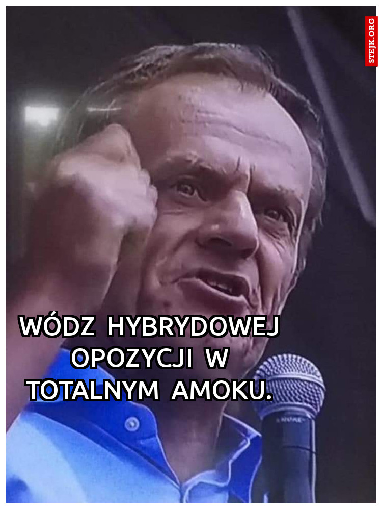 Wódz  hybrydowej  opozycji  w  totalnym  amoku. 
