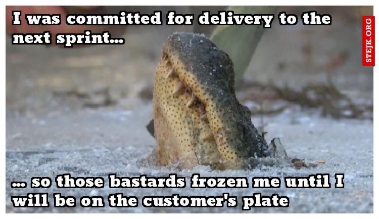 I was committed for delivery to the next sprint...