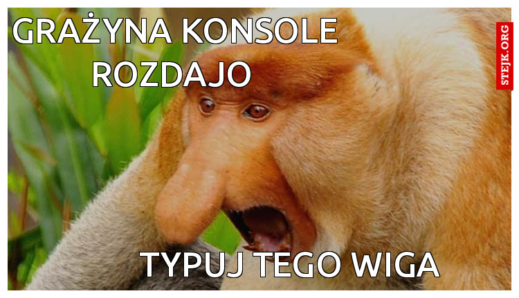 Grażyna konsole rozdajo 