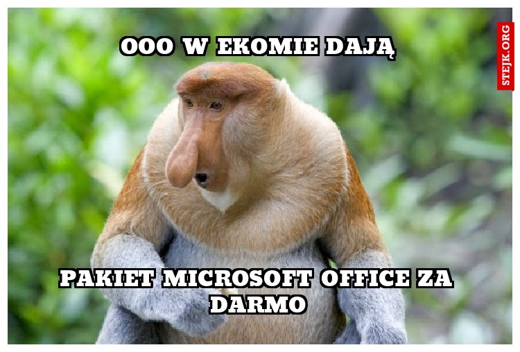 ooo w ekomie dają
