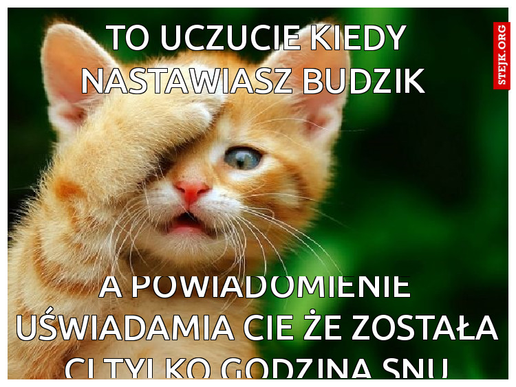 To uczucie kiedy nastawiasz budzik 