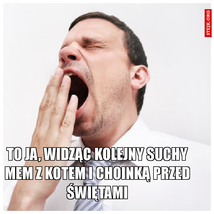 To ja, widząc kolejny suchy mem na temat kotów i choinki przed świętami...