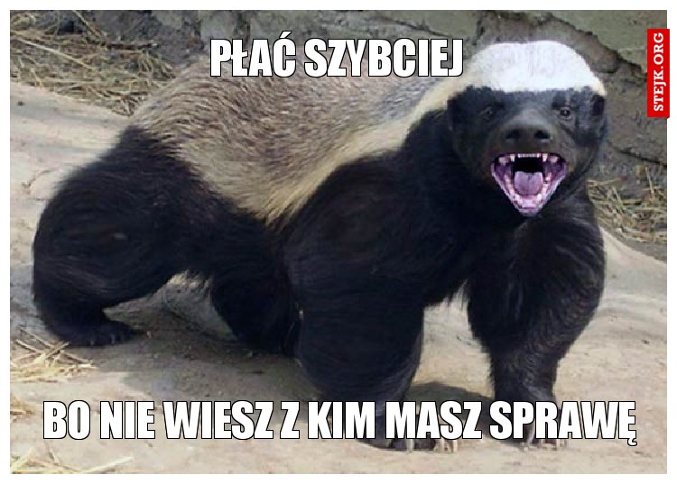 PŁAĆ SZYBCIEJ