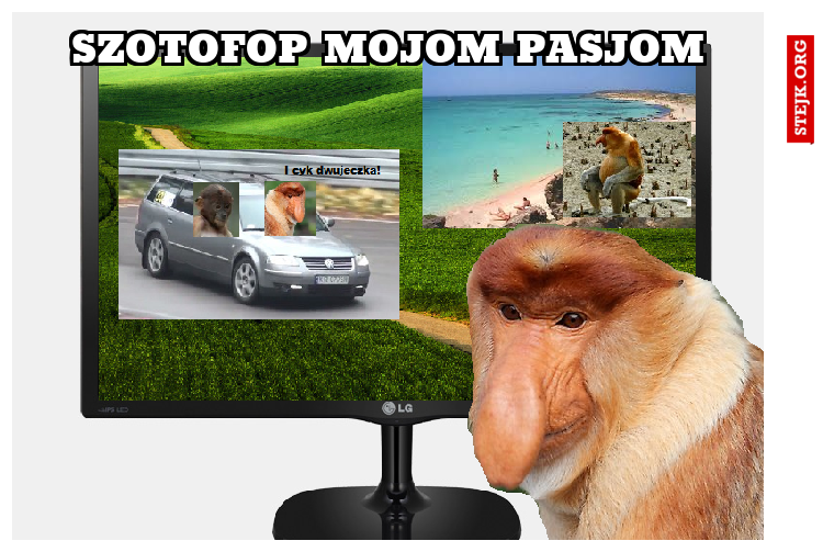 szotofop mojom pasjom