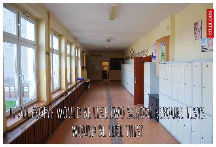 if all people would be like Iwo school befoure tests would be like this!