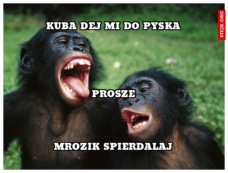 Kuba dej mi do pyska