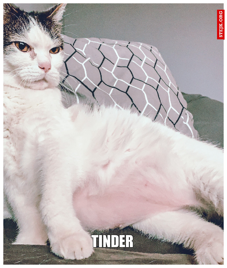 TINDER