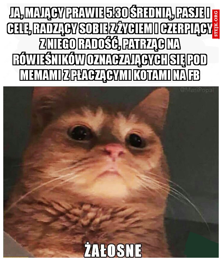 Ja, mający prawie 5.30 średnią, pasje i cele, radzący sobie z życiem i czerpiący z niego radość, patrząc na rówieśników oznaczających się pod memami z płaczącymi kotami na fb