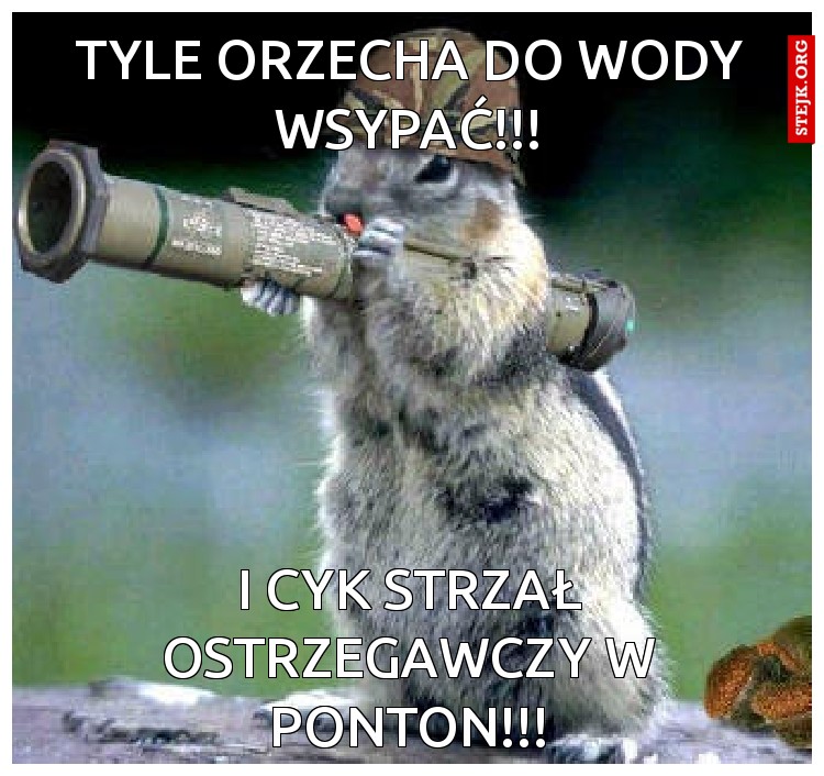 Tyle orzecha do wody wsypać!!!