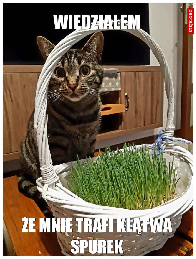 wiedziałem