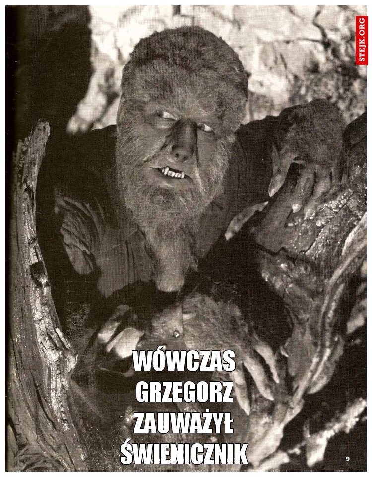 Wówczas Grzegorz zauważył Świenicznik