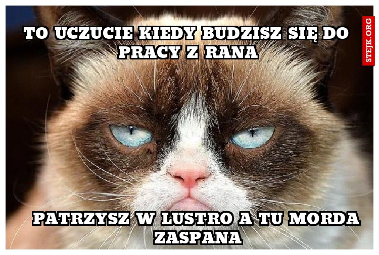 To uczucie kiedy budzisz się do pracy z rana