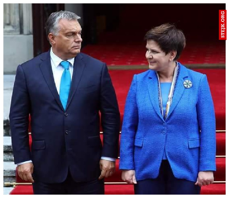 Beatko broszkę Ci kupiłem 