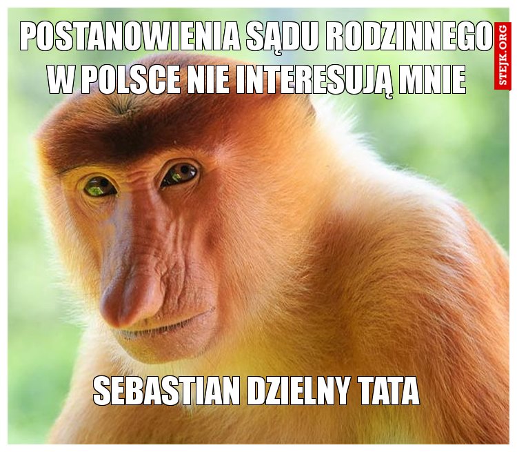 Postanowienia Sądu rodzinnego w Polsce nie interesują mnie