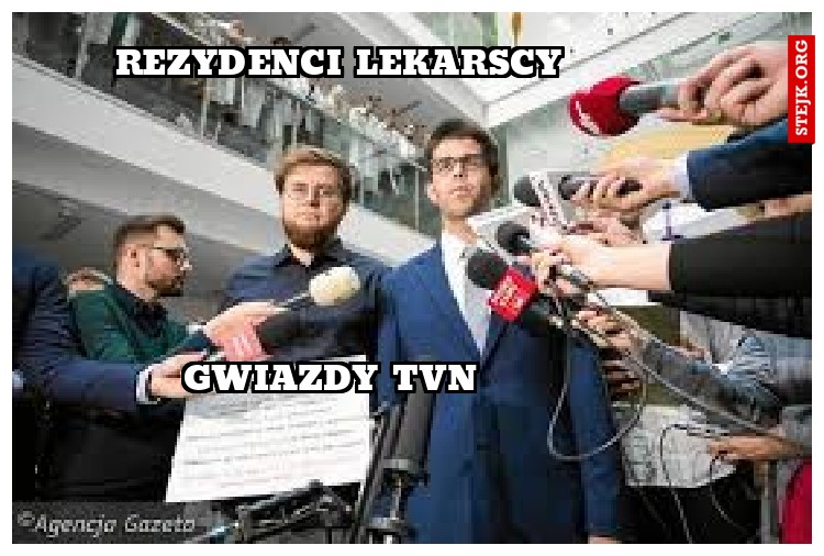 GWIAZDY TVN 