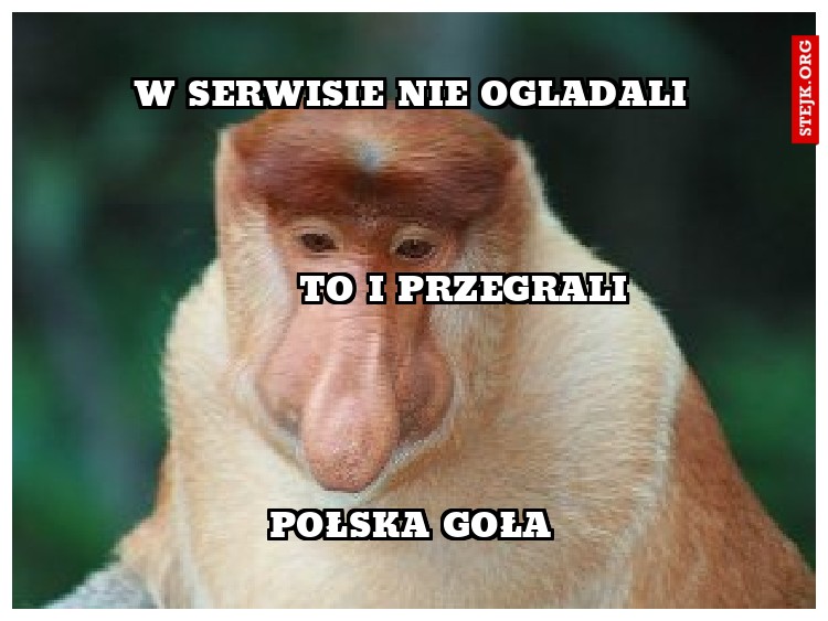 W serwisie nie ogladali