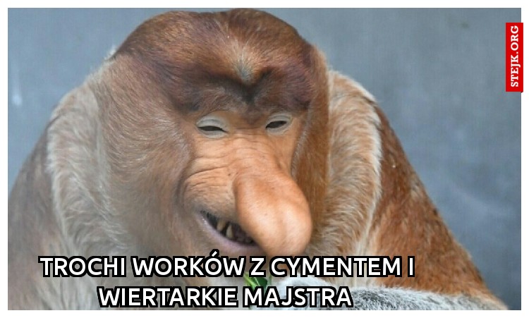Trochi worków z cymentem i wiertarkie majstra 