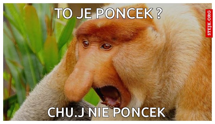 to je poncek ?