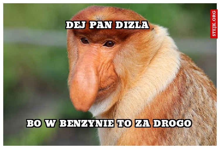 Dej pan dizla 