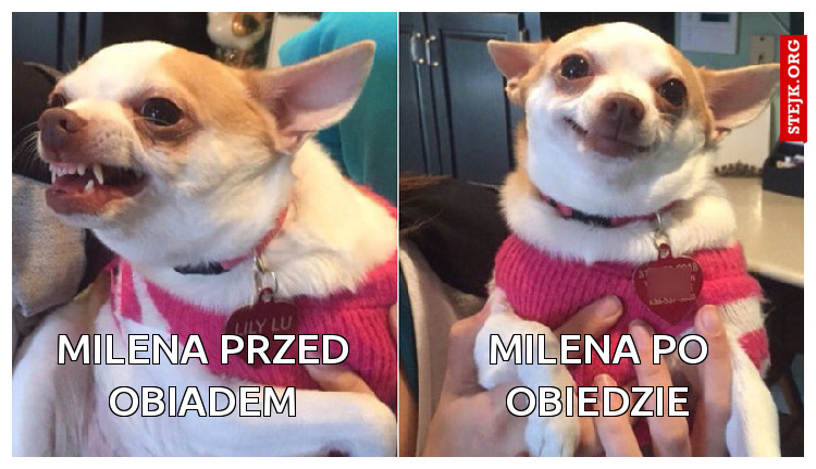 Milena przed obiadem