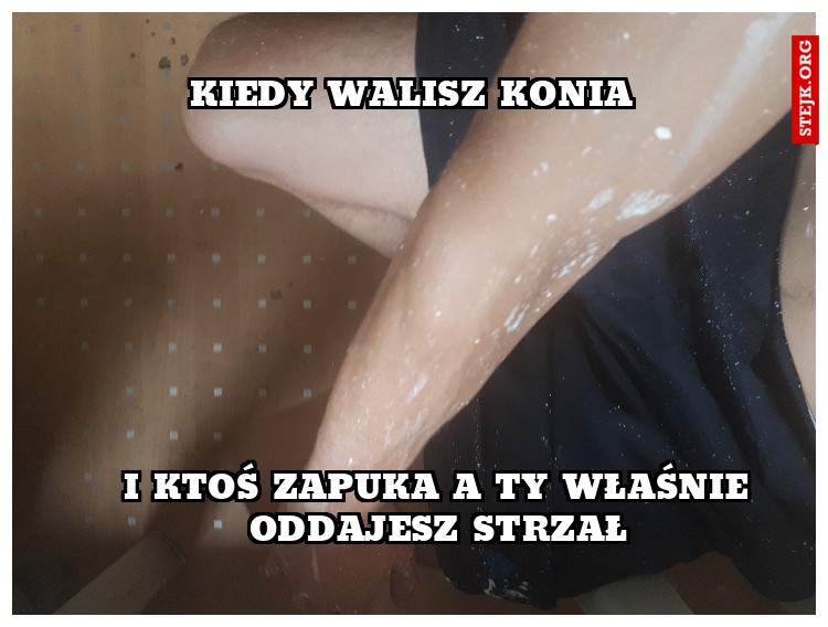 Kiedy walisz konia