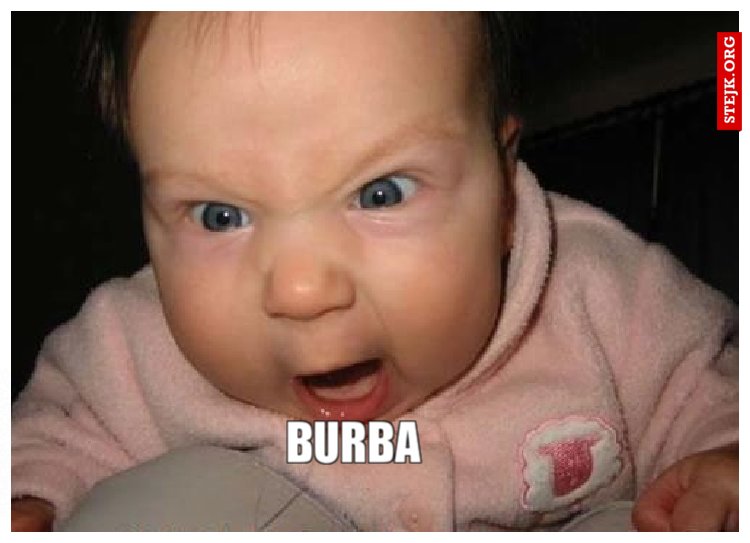 Burba