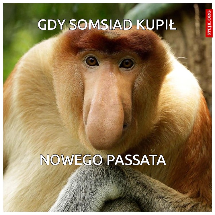 Gdy Somsiad kupił