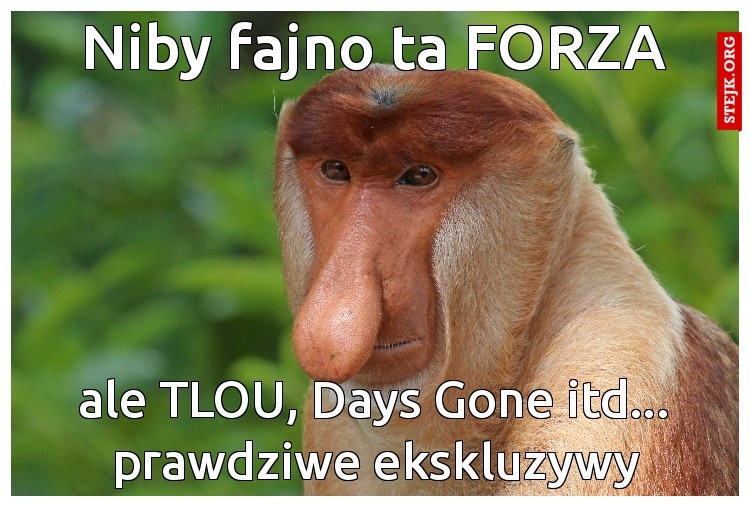 Niby fajno ta FORZA