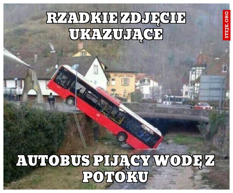 rzadkie zdjęcie ukazujące