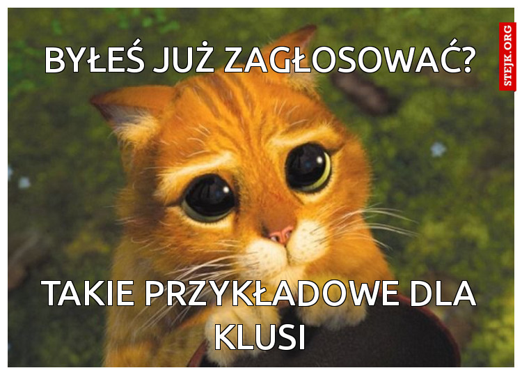 byłeś już zagłosować?