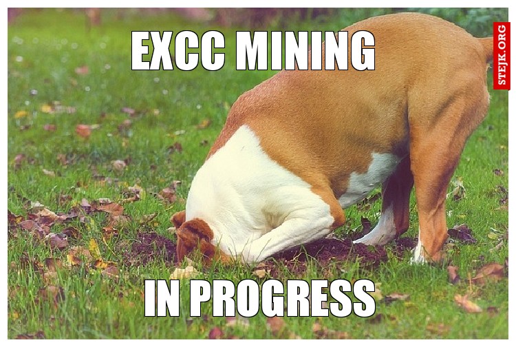 EXCC MINING